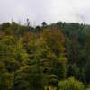 09 b Schluchensteig Etappe 4 - 6
